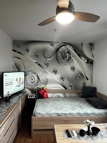 Pronájem bytu 1+kk, Přáslavice, 25 m2
