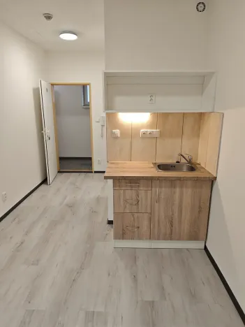 Pronájem bytu 1+kk, Praha - Hlubočepy, Na Zlíchově, 17 m2