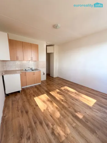 Pronájem bytu 1+kk, Mariánské Lázně, Kubelíkova, 20 m2