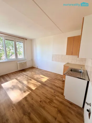 Pronájem bytu 1+kk, Mariánské Lázně, Kubelíkova, 20 m2