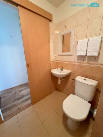 Pronájem bytu 1+kk, Mariánské Lázně, Kubelíkova, 20 m2