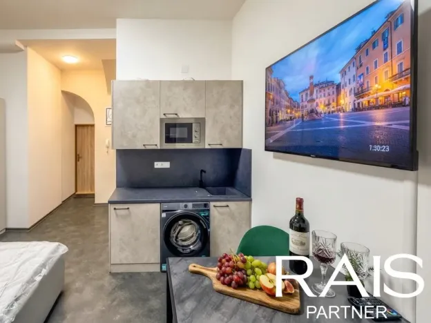 Prodej bytu 1+kk, Brno - Brno-město, Bašty, 20 m2