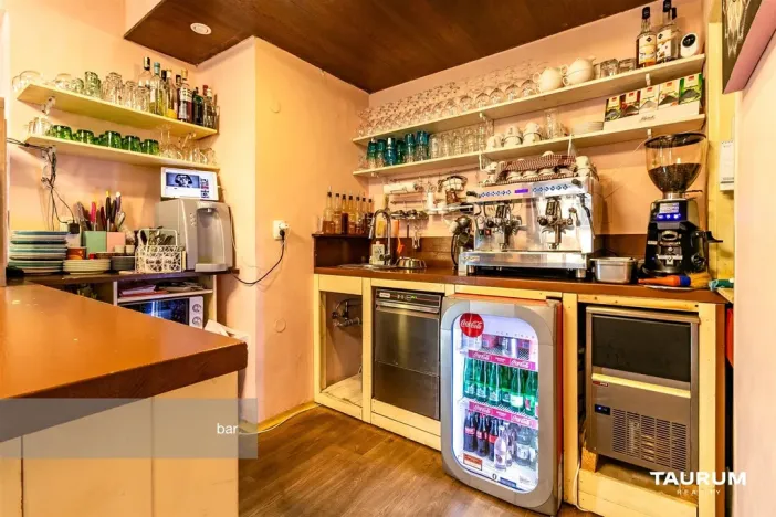 Prodej restaurace, Plzeň - Vnitřní Město, Pražská, 133 m2