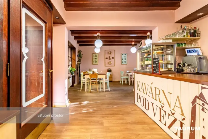 Prodej restaurace, Plzeň - Vnitřní Město, Pražská, 133 m2