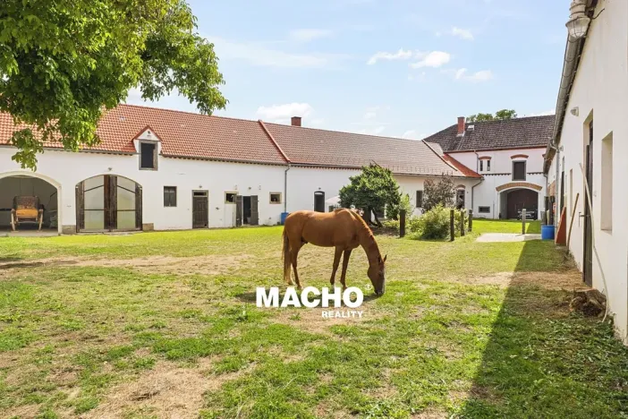Prodej zemědělské usedlosti, Žďár, 181 m2