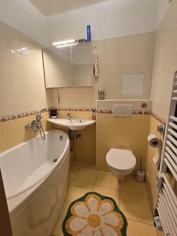 Prodej bytu 1+1, Dobříš, Březová, 31 m2