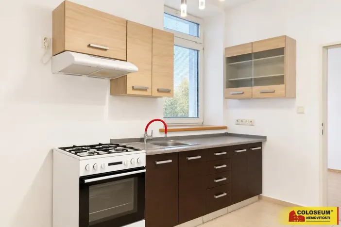 Prodej bytu 2+1, Hrušovany nad Jevišovkou, 49 m2