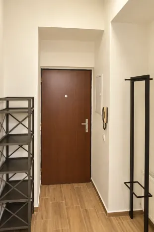 Pronájem bytu 2+kk, Praha - Vinohrady, Mánesova, 55 m2
