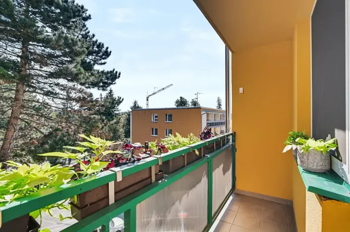 Prodej bytu 3+1, Brno, Gabriely Preissové, 70 m2
