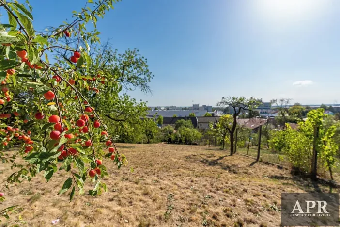 Prodej rodinného domu, Uherské Hradiště, Solná cesta, 150 m2