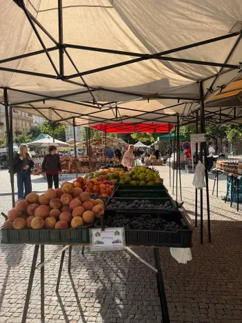 Pronájem bytu 2+kk, Praha - Žižkov, Křišťanova, 58 m2