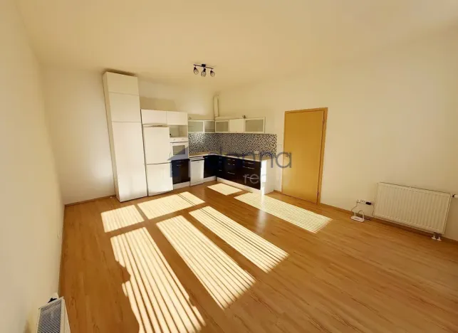 Pronájem bytu 2+kk, Praha, U Kamýku, 55 m2