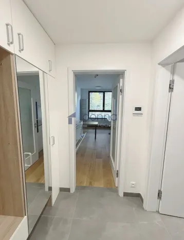 Pronájem bytu 1+kk, Praha, Vladimíra Kobranova, 39 m2