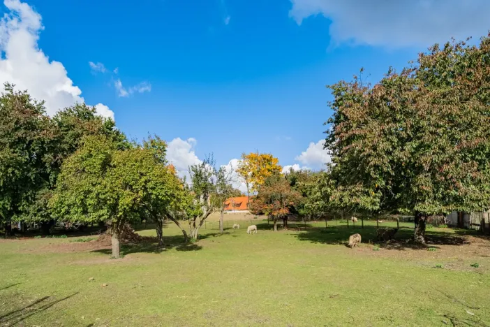 Prodej rodinného domu, Chlumec nad Cidlinou, 700 m2