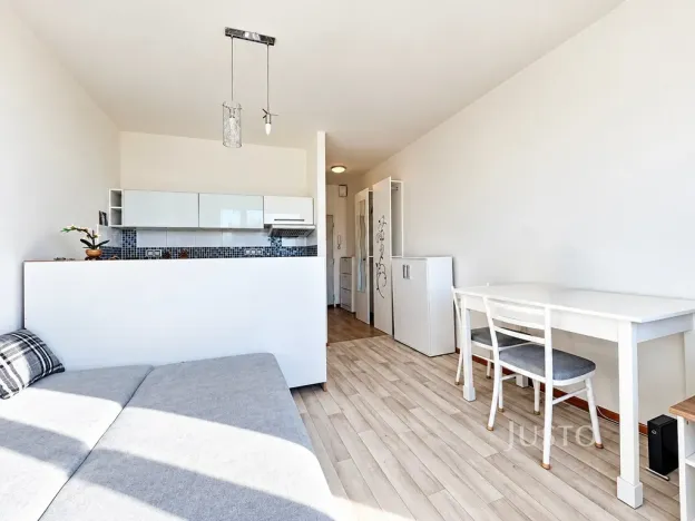 Prodej bytu 1+kk, Ústí nad Labem - Ústí nad Labem-centrum, SNP, 20 m2