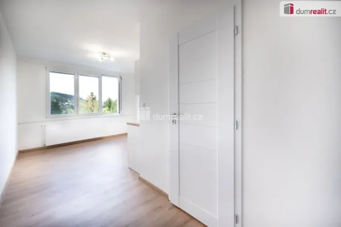 Prodej bytu 1+kk, Větřní, Šumavská, 19 m2