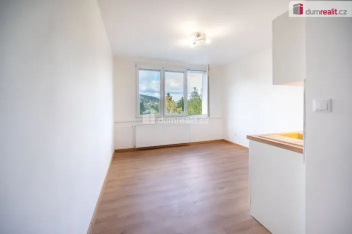 Prodej bytu 1+kk, Větřní, Šumavská, 19 m2