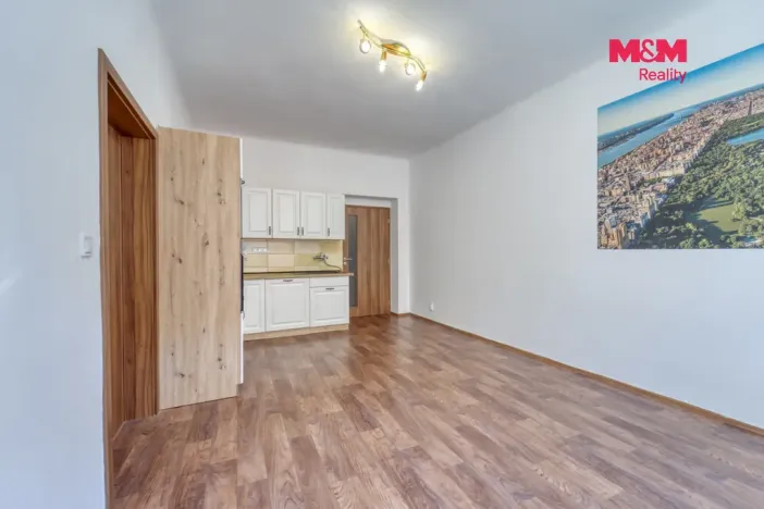 Pronájem bytu 2+kk, Plzeň - Jižní Předměstí, Čechova, 52 m2