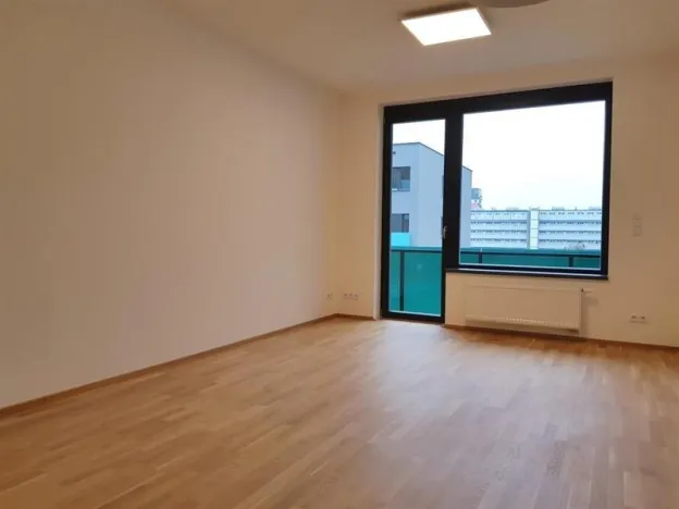 Pronájem bytu 2+kk, Praha - Holešovice, Argentinská, 60 m2