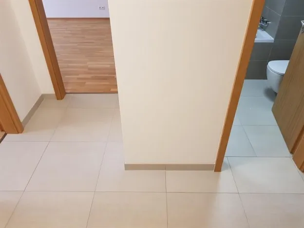Pronájem bytu 2+kk, Praha - Holešovice, Argentinská, 60 m2