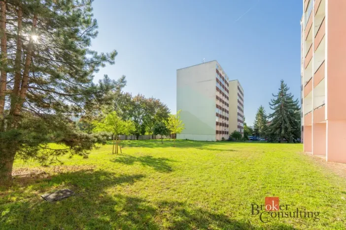Prodej bytu 2+1, Mladá Boleslav - Mladá Boleslav II, Palackého, 64 m2