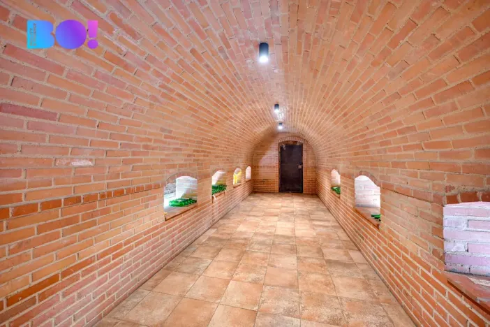 Prodej rodinného domu, Dyjákovice, 180 m2
