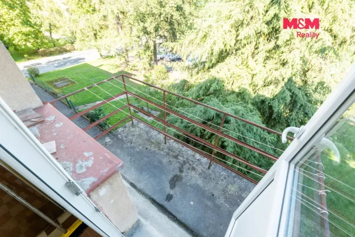 Prodej bytu 3+1, České Budějovice - České Budějovice 3, Čéčova, 82 m2