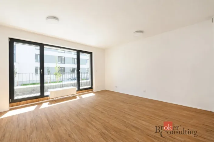 Pronájem bytu 1+kk, Plzeň - Jižní Předměstí, Železná, 33 m2