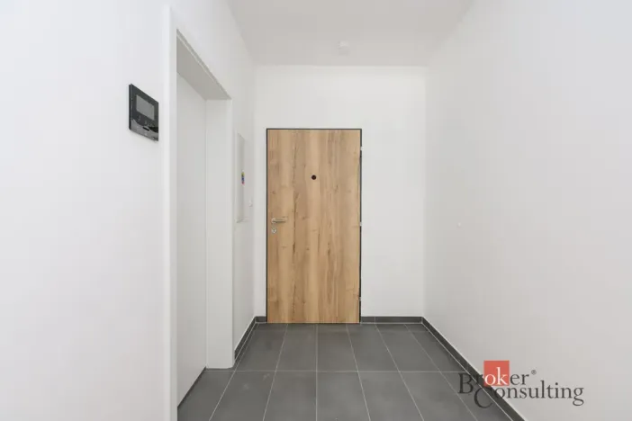 Pronájem bytu 1+kk, Plzeň - Jižní Předměstí, Železná, 33 m2