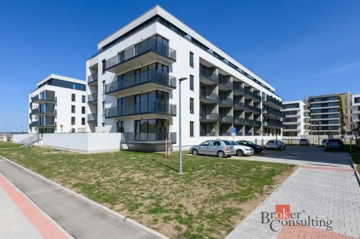 Pronájem bytu 1+kk, Plzeň - Jižní Předměstí, Železná, 33 m2