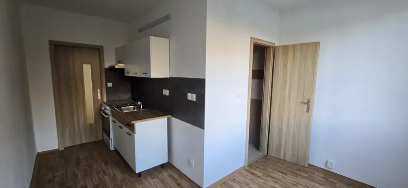 Pronájem bytu 1+1, Ústí nad Labem - Severní Terasa, Kmochova, 38 m2