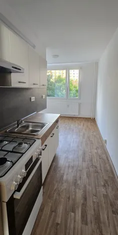 Pronájem bytu 1+1, Ústí nad Labem - Severní Terasa, Kmochova, 38 m2