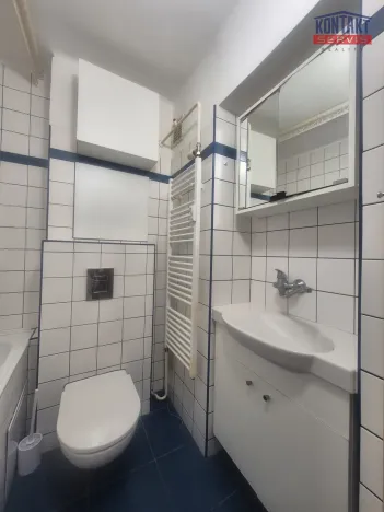 Pronájem bytu 1+1, České Budějovice, Pabláskova, 36 m2