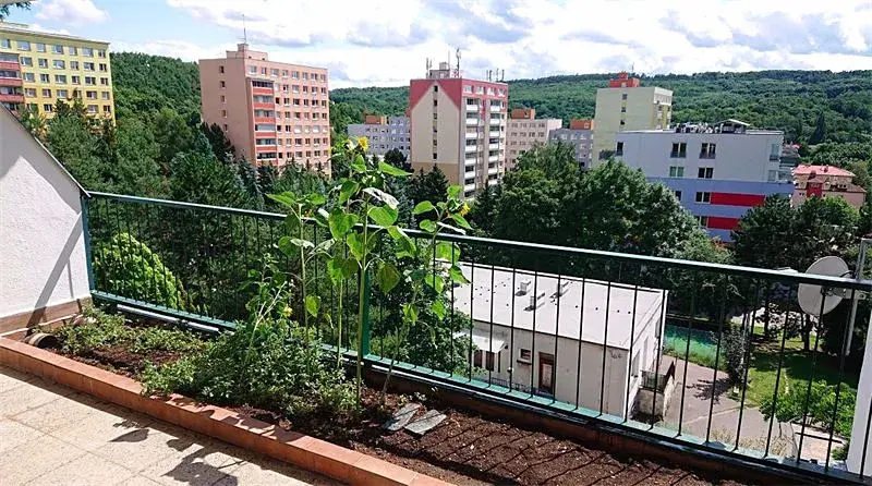 Pronájem bytu 3+kk, Praha - Motol, U Homolky, 98 m2