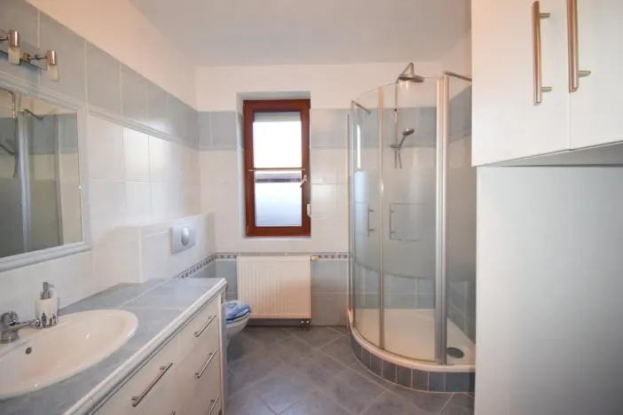 Pronájem rodinného domu, Plzeň - Újezd, Staroveská, 250 m2