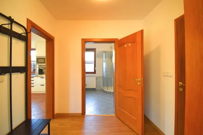 Pronájem rodinného domu, Plzeň - Újezd, Staroveská, 250 m2
