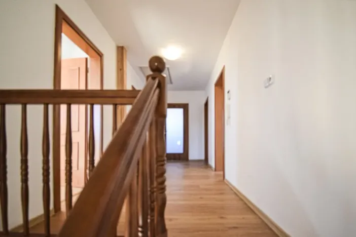 Pronájem rodinného domu, Plzeň - Újezd, Staroveská, 250 m2