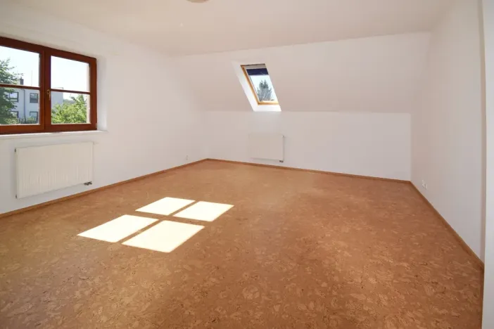 Pronájem rodinného domu, Plzeň - Újezd, Staroveská, 250 m2