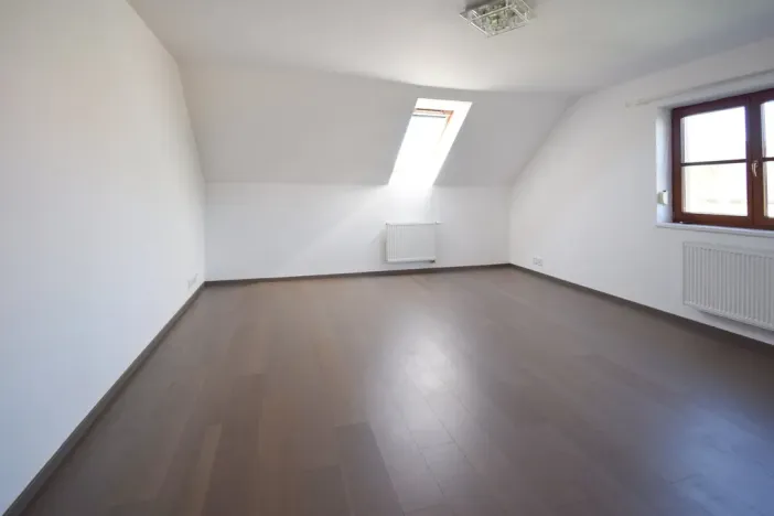 Pronájem rodinného domu, Plzeň - Újezd, Staroveská, 250 m2