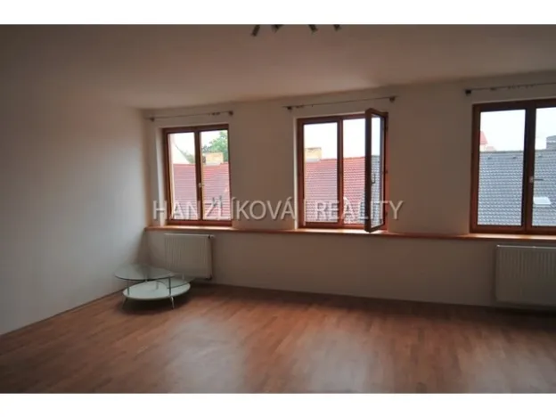 Pronájem bytu 1+kk, České Budějovice - České Budějovice 3, Fráni Šrámka, 30 m2