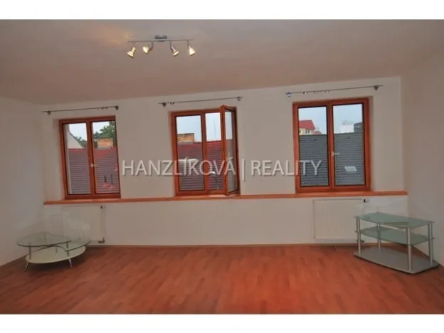 Pronájem bytu 1+kk, České Budějovice - České Budějovice 3, Fráni Šrámka, 30 m2