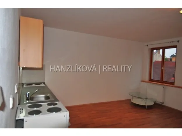 Pronájem bytu 1+kk, České Budějovice - České Budějovice 3, Fráni Šrámka, 30 m2