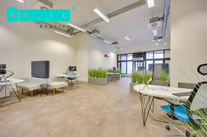 Pronájem obchodního prostoru, Olomouc, Horní náměstí, 300 m2