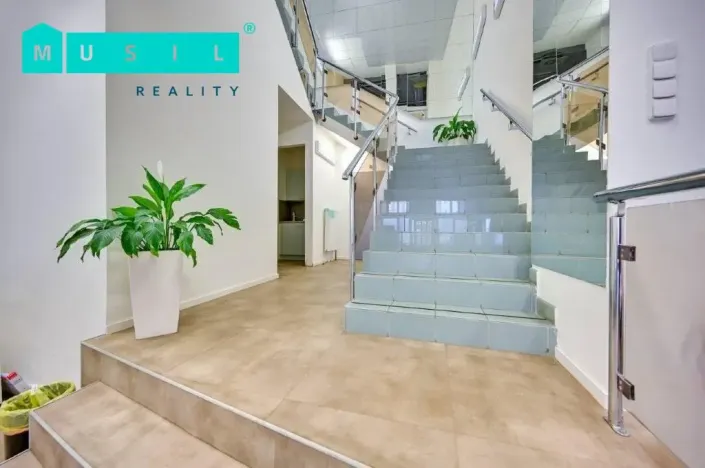 Pronájem obchodního prostoru, Olomouc, Horní náměstí, 300 m2