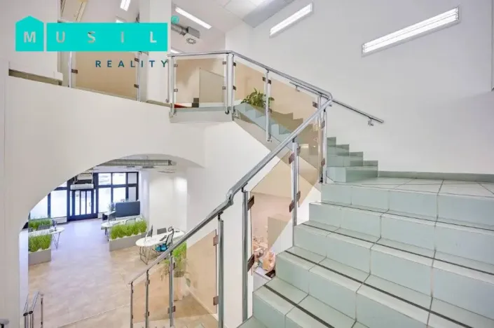 Pronájem obchodního prostoru, Olomouc, Horní náměstí, 300 m2