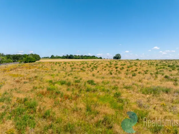 Prodej pozemku pro bydlení, Litvínovice - Šindlovy Dvory, 1002 m2