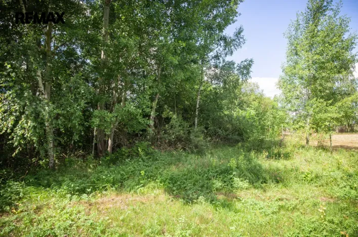 Prodej pozemku pro bydlení, Rožmitál pod Třemšínem, 1753 m2