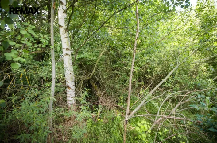 Prodej pozemku pro bydlení, Rožmitál pod Třemšínem, 1753 m2