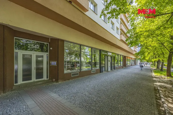 Prodej bytu 4+1, Pardubice, Palackého třída, 91 m2