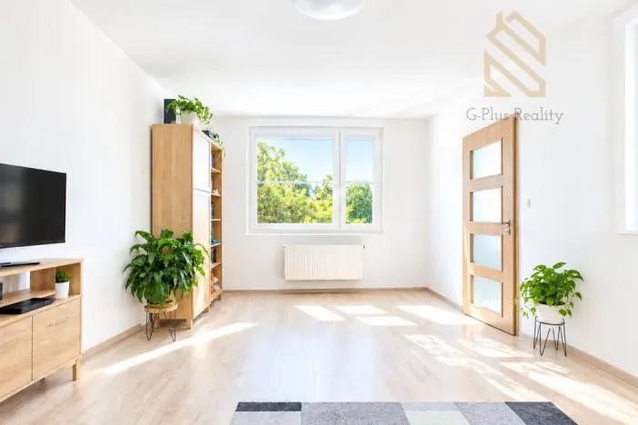 Prodej bytu 2+1, Ústí nad Labem - Střekov, Tolstého, 62 m2